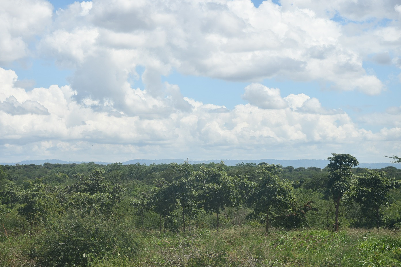 popular properties